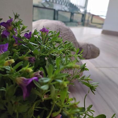 Attico Gloria & Greta Διαμέρισμα Castellammare del Golfo Εξωτερικό φωτογραφία